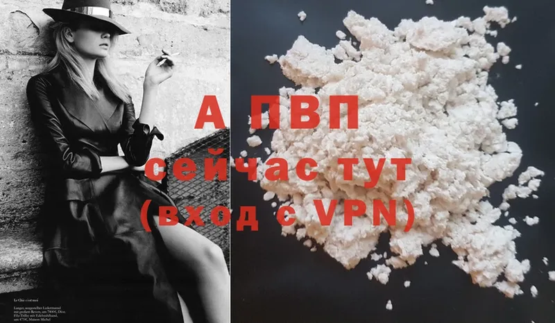 Alfa_PVP СК  Печора 